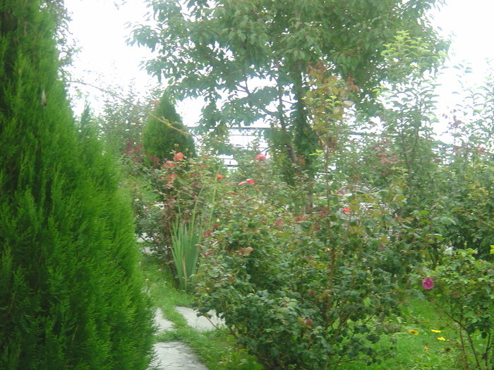 Hotels In Shimla<br />
<br />
For more information please visit our website http://www.snowkingretreat.com/<br />
Resort In Kufri of Best hotel in shimla - Snow King Retreat Fagu Top Shimla - Photo 7 of 30 Hotels In Shimla<br />
<br />
For more information please visit our website http://www.snowkingretreat.com/<br />
Resort In Kufri of Best hotel in shimla - Snow King Retreat Fagu Top Shimla - Photo 7 of 30