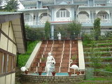                   Best Hotel Fagu
For more information please visit our website http://www.snowkingretreat.com/
            , Best hotel in shimla - Snow King Retreat, Shimla