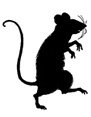  Profile Photos of Pesticon Pest Control Services 55 Faulkner Cr - Photo 1 of 1