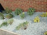To this, Allied gardens ltd, Peterborough