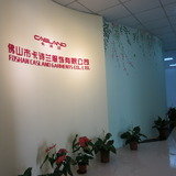                                , CASLAND, foshan