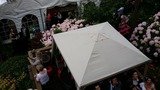 garden wedding catering The London  Catering Company Wynyatt Street 