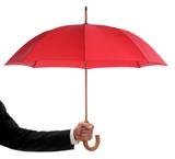  NEWS Insurance Services, Inc 2072 Orchard Drive, Suite A 