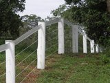  Think Fencing Pty Ltd 2415 Portarlington Road 