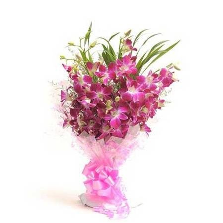  Profile Photos of Ferns N Petals Pvt. Ltd Ferns N Petals Pvt. Ltd, Mandi Road, Gadaipur - Photo 3 of 6