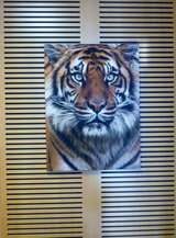  Sontext Acoustic Panels Supplier in Australia 685 Burke Road 