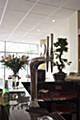  Profile Photos of Fiesta Bistro 6 Grove Road     - Photo 2 of 6