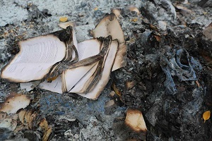  Pricelists of Fire Damage Restoration West Palm Beach Inc 1889 Palm Beach Lakes Blvd #5 - Photo 2 of 2