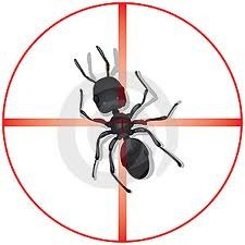 Pest Control Chelsea, 60 Chelsea Manor St, Chelsea, SW3 5RZ, 02036160402, http://www.pestcontrolchelsea.org Profile Photos of Pest Control Chelsea 60 Chelsea Manor St - Photo 2 of 4 Pest Control Chelsea, 60 Chelsea Manor St, Chelsea, SW3 5RZ, 02036160402, http://www.pestcontrolchelsea.org Profile Photos of Pest Control Chelsea 60 Chelsea Manor St - Photo 2 of 4