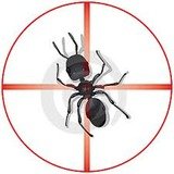 Pest Control Chelsea, 60 Chelsea Manor St, Chelsea, SW3 5RZ, 02036160402, http://www.pestcontrolchelsea.org, Pest Control Chelsea, Chelsea