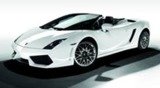 Exotic Rides of Miami, Miami