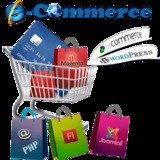 Internet and E Commerce Accounts, Hogo Global Payment Solutions, London