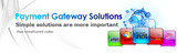 Payment Gateway Services, Hogo Global Payment Solutions, London