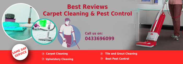  New Album of Best Reviews Carpet Cleaning and Pest Control PO BOX 997 Sunnybank - Photo 1 of 1