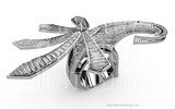  3DM CAD Jewelry Design Studio 55 W 47th Street, Suite #1020a 