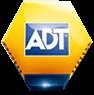 SecurityCAM Ltd, Leytonstone