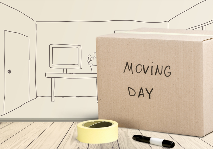  New Album of Best Movers Dubai Office B1601 Latifa Tower sheikh Zayed Road - Photo 4 of 9