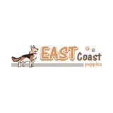 East Coast Puppies, Paterson