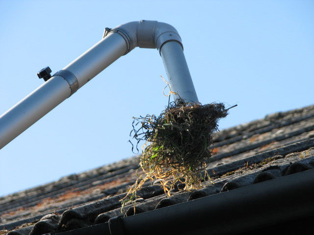  Profile Photos of Gutter Cleaning East Grinstead Lincoln Cottage, Woodcock Hill - Photo 1 of 2