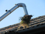 Gutter Cleaning East Grinstead, Felbridge, East Grinstead