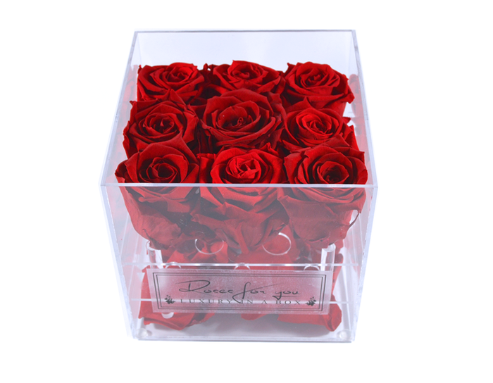  New Album of Roses for You 290 Adelaide St. W. - Photo 7 of 16