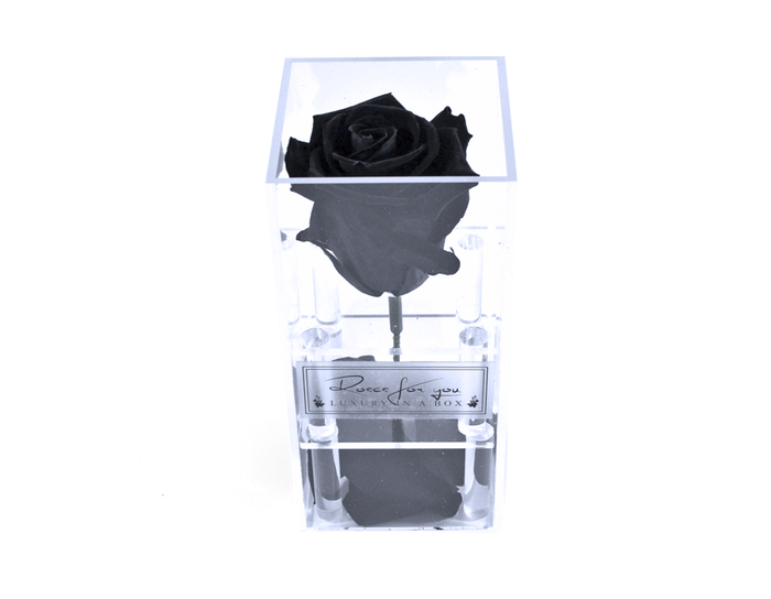  New Album of Roses for You 290 Adelaide St. W. - Photo 9 of 16