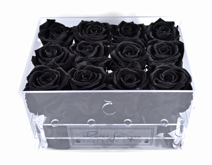  New Album of Roses for You 290 Adelaide St. W. - Photo 13 of 16