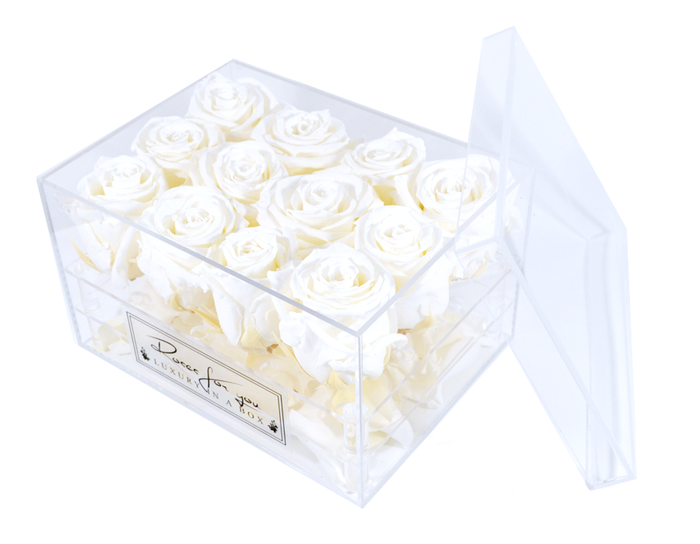  New Album of Roses for You 290 Adelaide St. W. - Photo 16 of 16