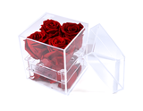  Roses for You 290 Adelaide St. W. 