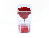  Roses for You 290 Adelaide St. W. 