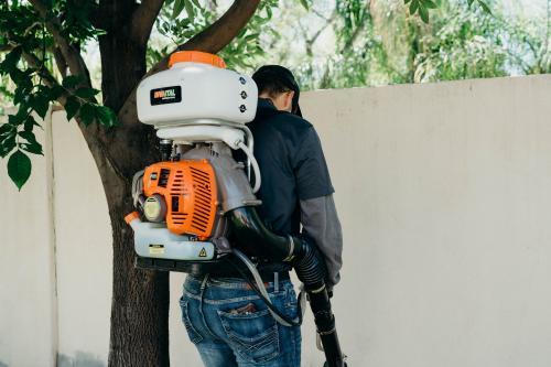  Profile Photos of Eastern Arizona Exterminating 49 S Sycamore #5 - Photo 3 of 4