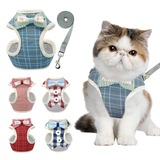 Zacal Cat Collars, Essex