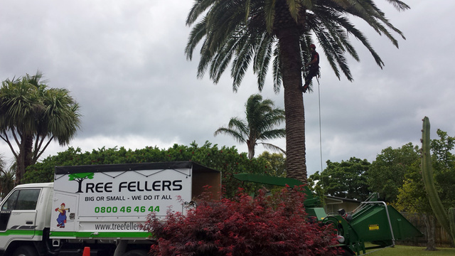  Profile Photos of Tree Fellers 17 Heronvale Way, Brookfield - Photo 1 of 4