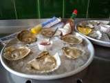 Royal Native Oyster Stores in Kent Horsebridge 