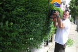 Gardening Services Meopham, Meopham