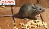 Marks Pest Control Sydney, Sydney
