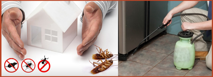  New Album of Max Pest Control Melbourne 114 William St - Photo 1 of 5