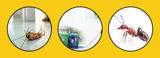 Max Pest Control Melbourne, Melbourne