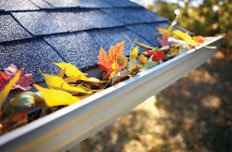  Profile Photos of Roof Gutter Cleaning Melbourne PO Box 481 East Melbourne VIC 3002 - Photo 3 of 4