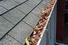  Profile Photos of Roof Gutter Cleaning Melbourne PO Box 481 East Melbourne VIC 3002 - Photo 4 of 4