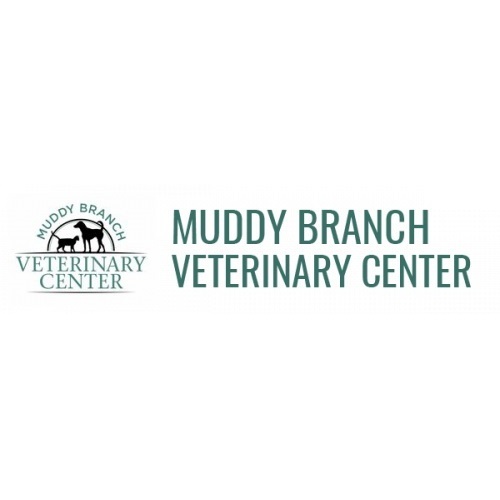  Profile Photos of Muddy Branch Veterinary Center 880 Muddy Branch Road - Photo 1 of 1