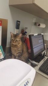 Muddy Branch Veterinary Center, Gaithersburg