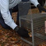 Armadillo Wildlife, Fort Wayne