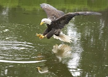  Profile Photos of Vogelpark Avifauna Hoorn 65 - Photo 4 of 4