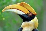Vogelpark Avifauna, Alphen aan den Rijn