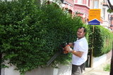 Gardening Services Gravesend, Gravesend