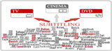  Lingvopedia Language Solutions Pvt. Ltd. A-90 1st floor,  Lajpat Nagar-II 