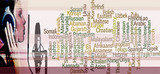 Lingvopedia Language Solutions Pvt. Ltd., Delhi