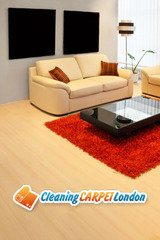 Modern living room with real leather sofa
, Cleaning Carpet London Ltd., London