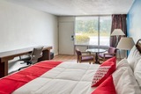 OYO Hotel Battleboro 7522 NC-48 